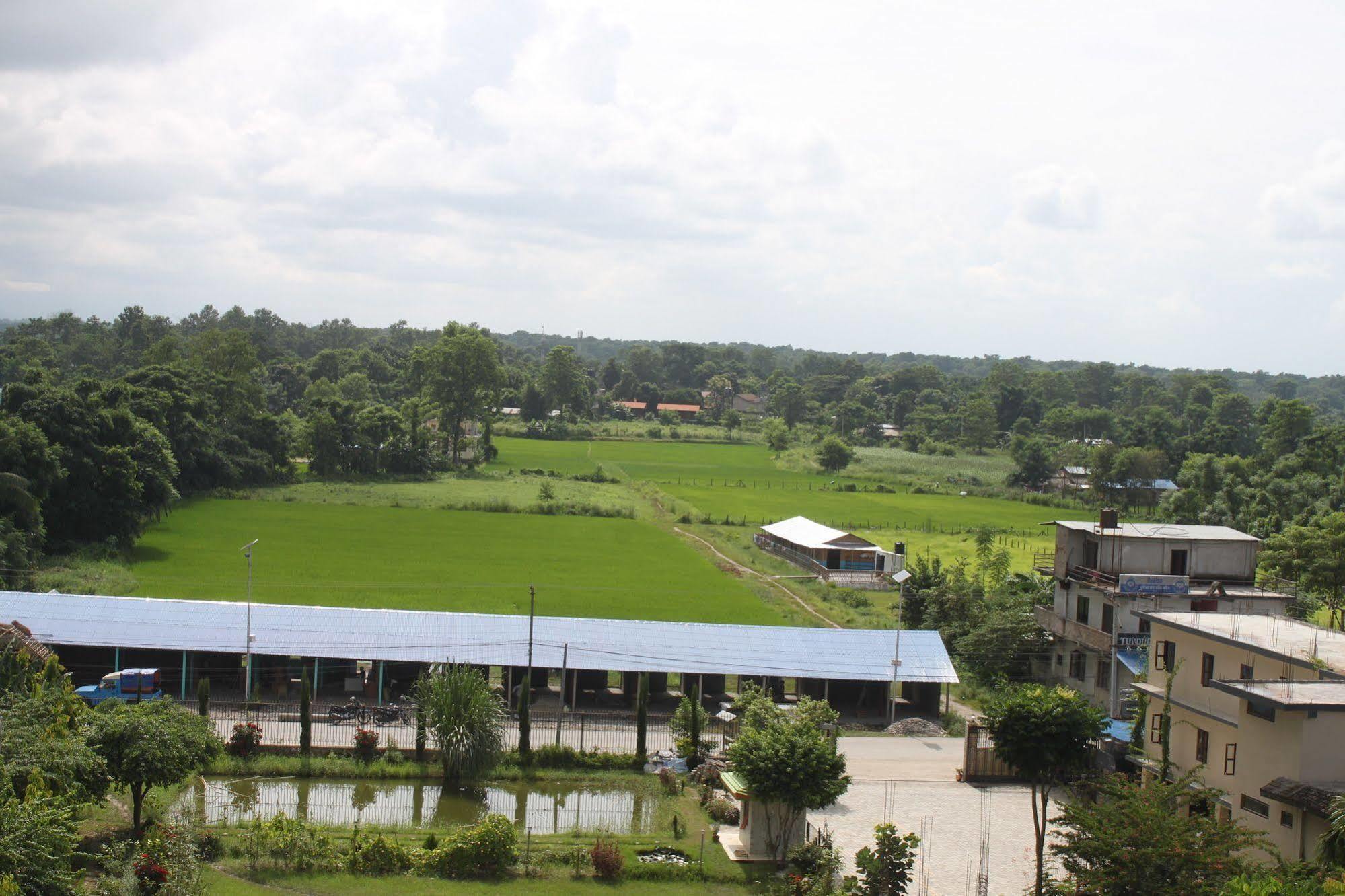 Hotel Monalisa Chitwan Sauraha Extérieur photo